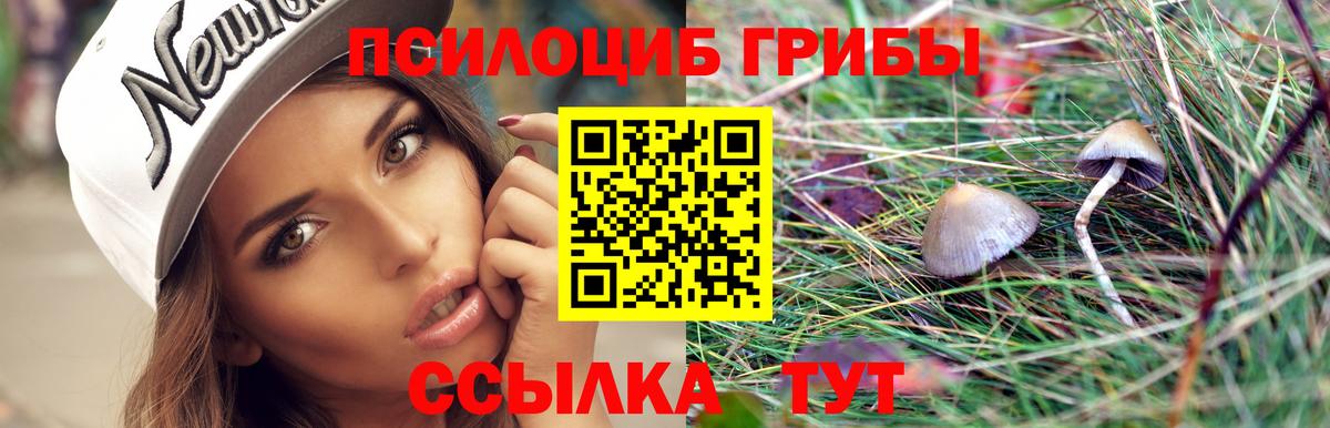 Псилоцибиновые грибы GOLDEN TEACHER Астрахань