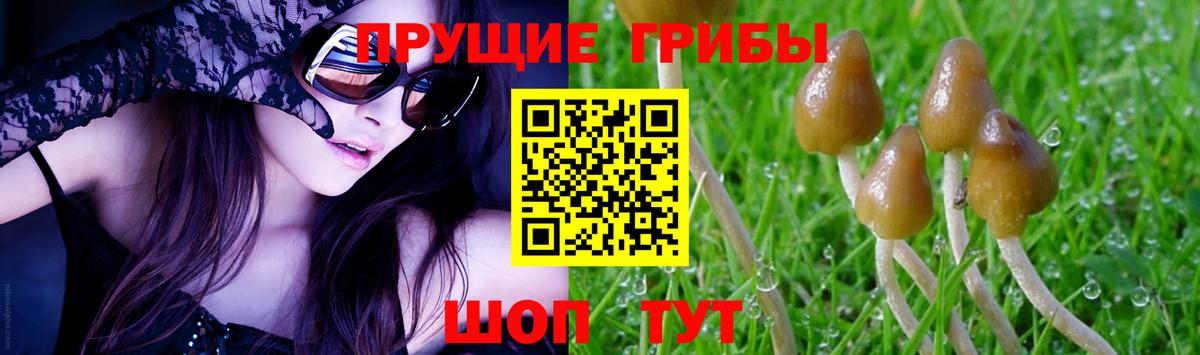 Астрахань  Галлюциногенные грибы ЛСД  Вход с VPN  Галлюциногенные грибы мицелий 